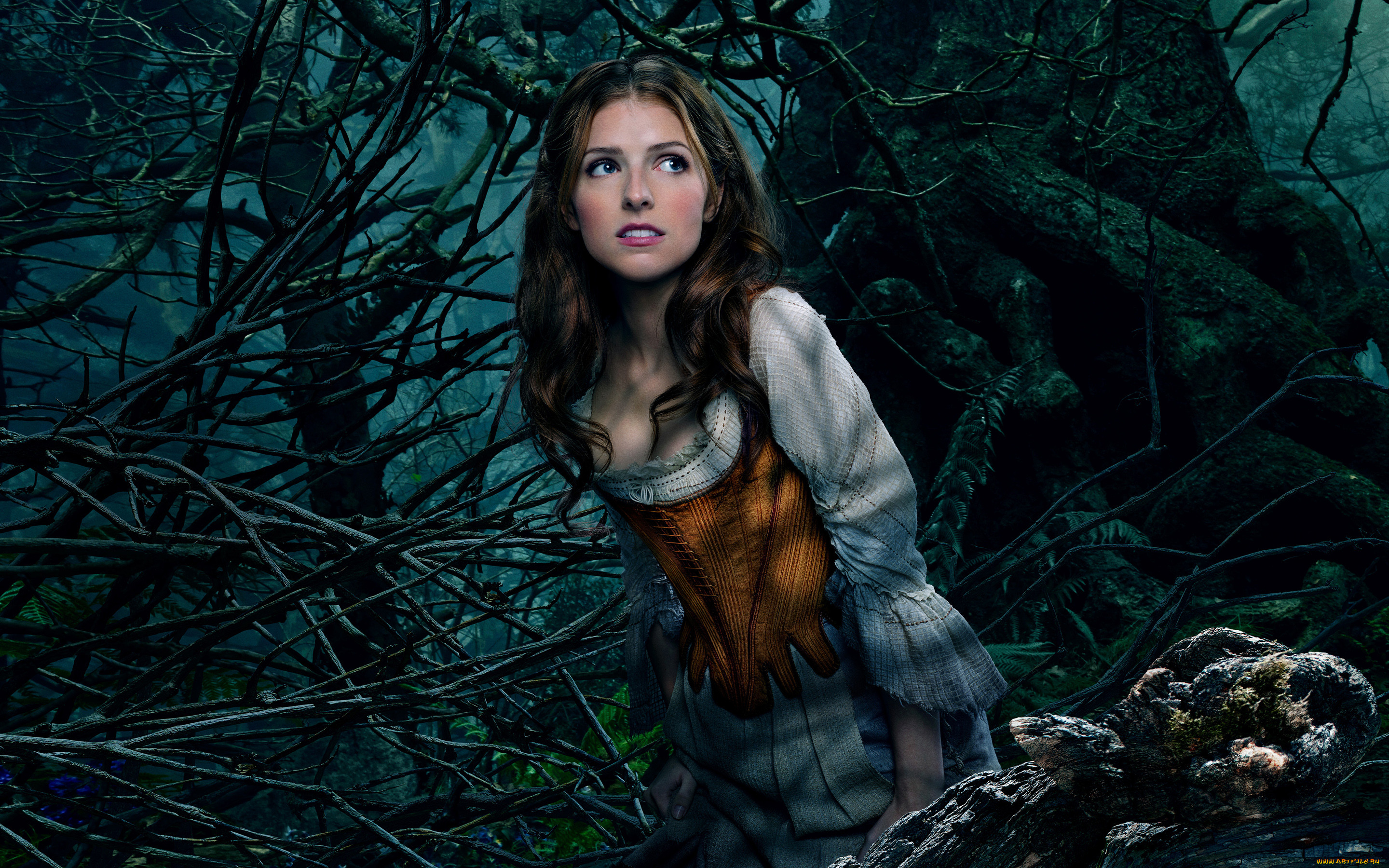  , into the woods, into, the, woods